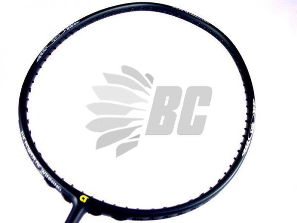 APACS Training W-160 Badminton Racket Free String and Grip 